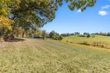 422 Pinkerton Run Rd - Photo 32