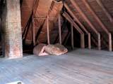 413 3rd St - Photo 23