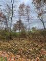 0 Browntown Rd - Photo 13