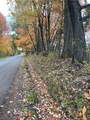 0 Browntown Rd - Photo 9