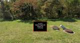 Lot #16 Oakland Heights Rd - Photo 2