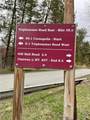 TBD Triphammer Road - Photo 2