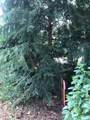113 Nicola Ln - Photo 4