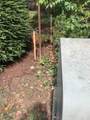 113 Nicola Ln - Photo 5