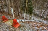 955 Woodside Ave - Photo 8