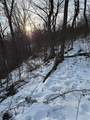 Lot 1 Millers Run Rd - Photo 6