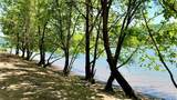 136 Bunola River Road - Photo 4