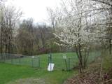 503 Winesap - Photo 27