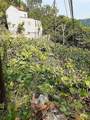 262 57th St - Photo 4