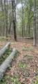 91 Lambert St - Photo 10