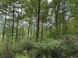 Lot 4 Cranberry Road - Photo 10