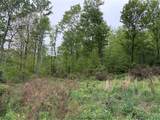 Lot 4 Cranberry Road - Photo 8