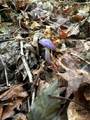 0 Matson Rd - Photo 28