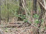 1765 Locust Rd - Photo 7