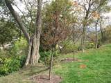 2643 Fernwald Road - Photo 1