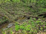Lot 134 Brokers Lane - Photo 13