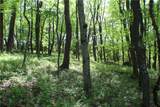 LOT Wexford Bayne Road - Photo 19
