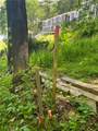 LOT Wexford Bayne Road - Photo 6