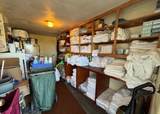 1331 Pitt St - Photo 12