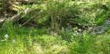 72 Locust St - Photo 4