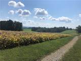 215 Duff Road - Photo 30