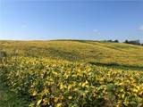 215 Duff Road - Photo 33
