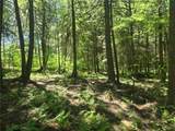 113 Elk Bugle Rd - Photo 33