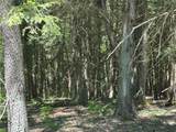113 Elk Bugle Rd - Photo 35