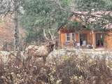 113 Elk Bugle Rd - Photo 36