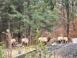 113 Elk Bugle Rd - Photo 37