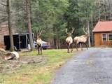 113 Elk Bugle Rd - Photo 38