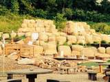 1285 Farm Rd - Photo 4