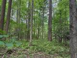 Lot 1C Cottonwood Rd - Photo 10