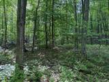 Lot 1C Cottonwood Rd - Photo 11