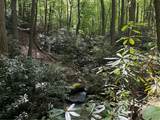 Lot 1C Cottonwood Rd - Photo 16