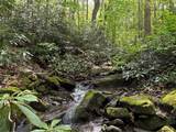 Lot 1C Cottonwood Rd - Photo 17