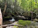 Lot 1C Cottonwood Rd - Photo 18