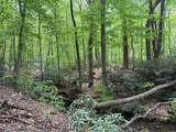 Lot 1C Cottonwood Rd - Photo 22