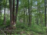 Lot 1C Cottonwood Rd - Photo 3