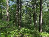 Lot 1C Cottonwood Rd - Photo 4