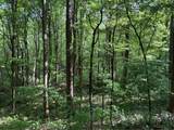 Lot 1C Cottonwood Rd - Photo 6