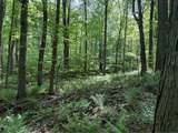 Lot 1C Cottonwood Rd - Photo 7