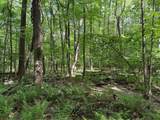 Lot 1C Cottonwood Rd - Photo 8