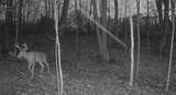 0 Campground Rd - Photo 4