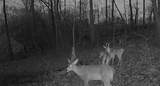 0 Campground Rd - Photo 5