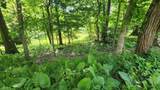 0 South Park Rd - Photo 4