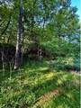 0 Nellie School Rd. - Photo 3