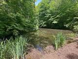1826 Toms Run Rd - Photo 6