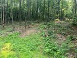 Lot 10 Off Camp Run Rd - Photo 3