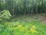 Lot 10 Off Camp Run Rd - Photo 4